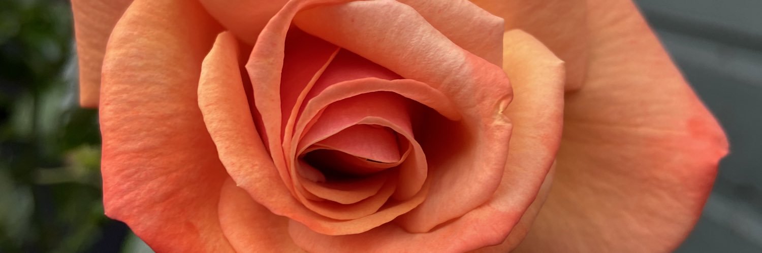CherReid2's profile banner image