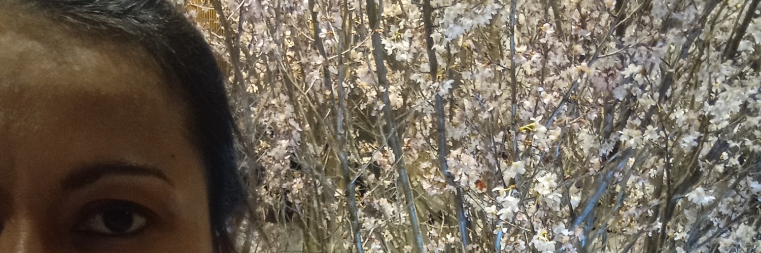 beHumble banner