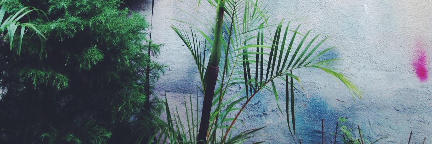 jungleonline's profile banner image