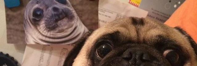 brittanythomp's profile banner image