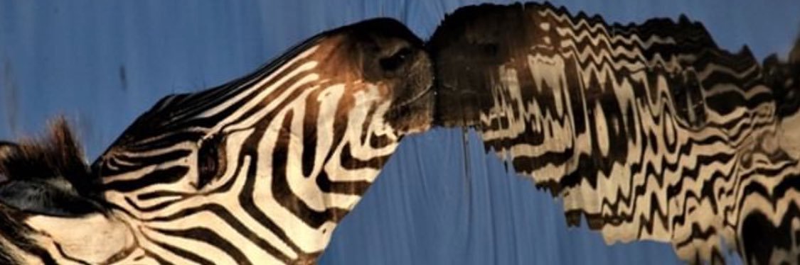 happytonbon's profile banner image