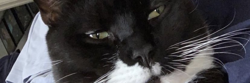 ChloeAsh69's profile banner image