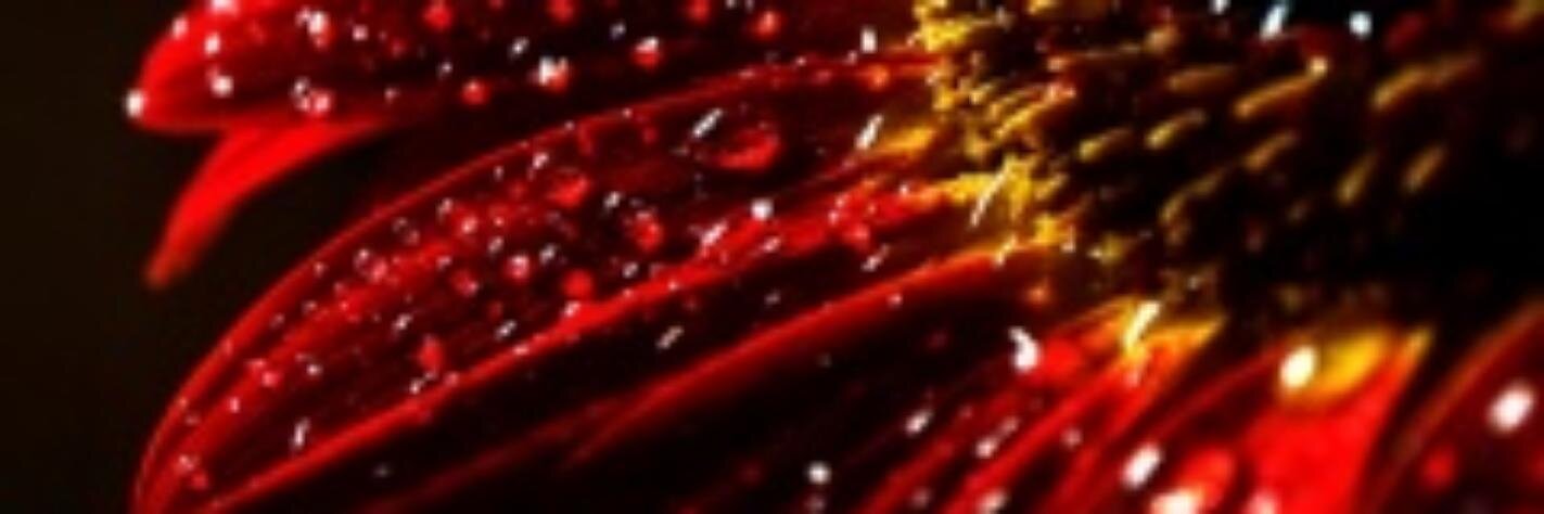Spudnic1968's profile banner image