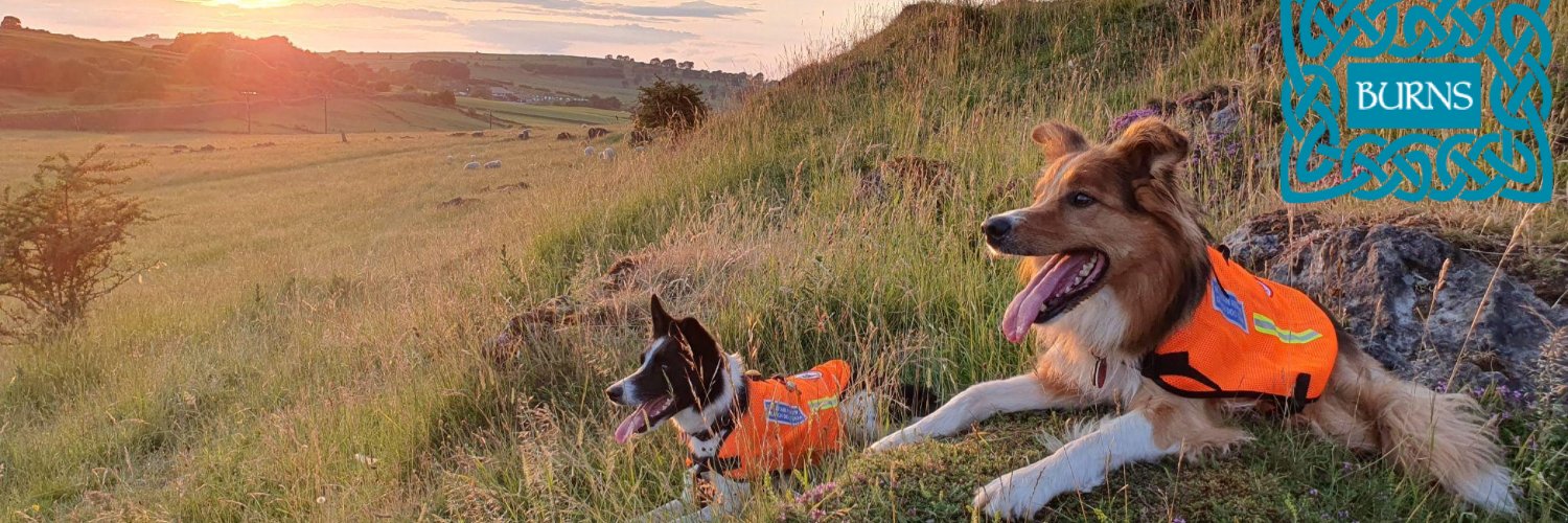 Mountain Rescue Search Dogs England banner