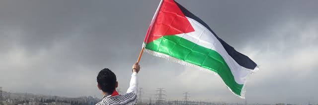 ナツドラグネール banner