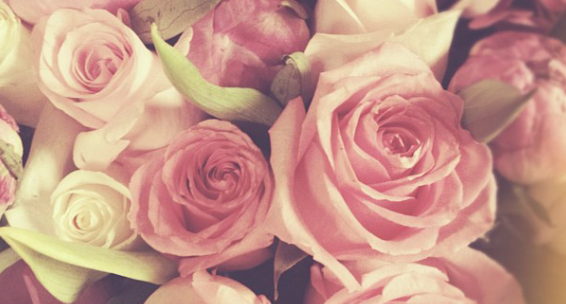 estrisna's profile banner image