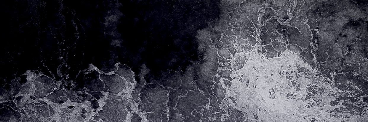 shintaphrodita's profile banner image