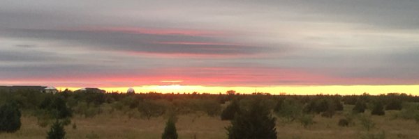 cheesivore Profile Banner