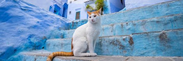 abdelko Profile Banner