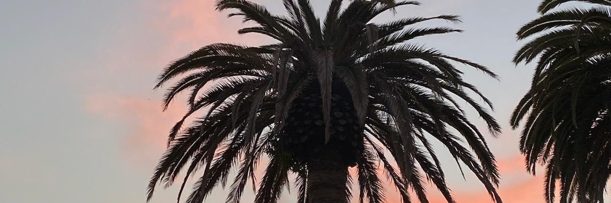 Tony English banner