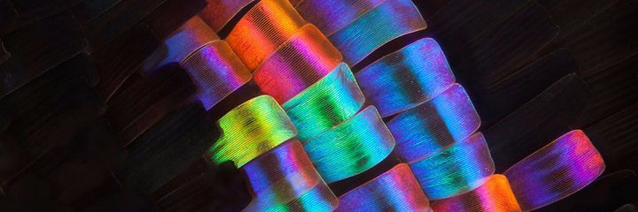 PierreBartel's profile banner image