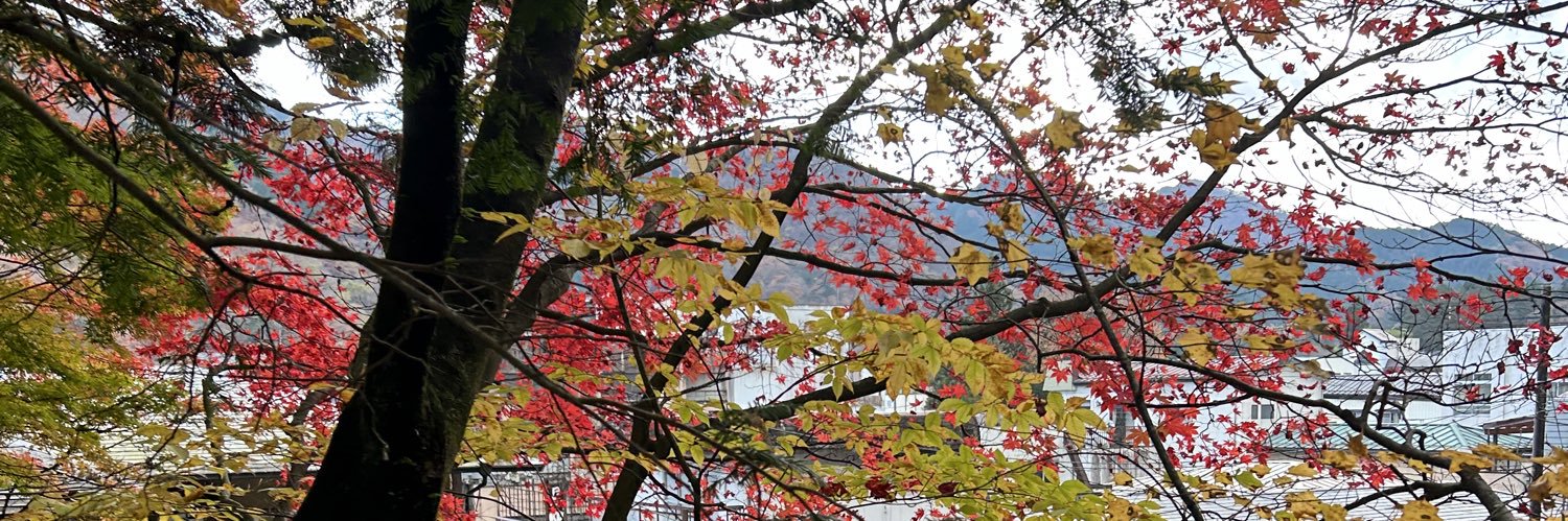 vividredruby's profile banner image