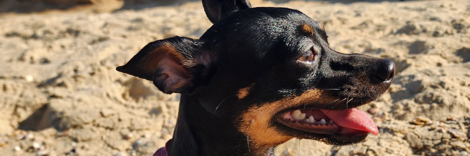 krixna_m's profile banner image