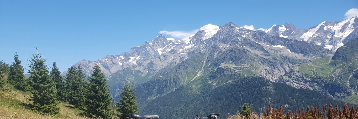 Beren Van Daele banner