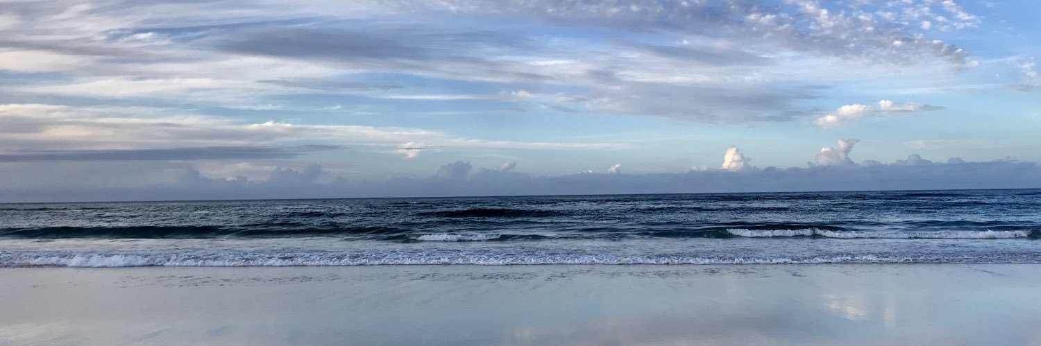freyawetzig's profile banner image