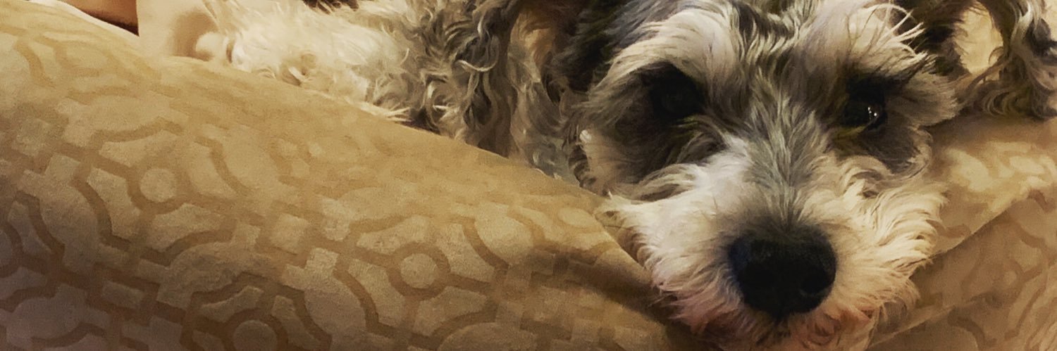 karrlyn's profile banner image