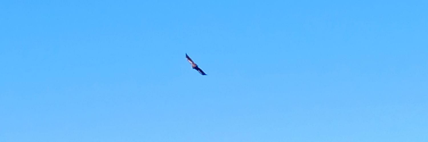 dl3109's profile banner image