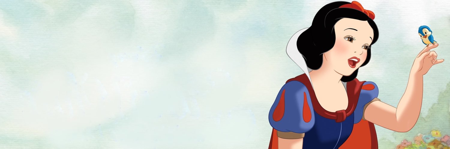 BRYDISNEY banner