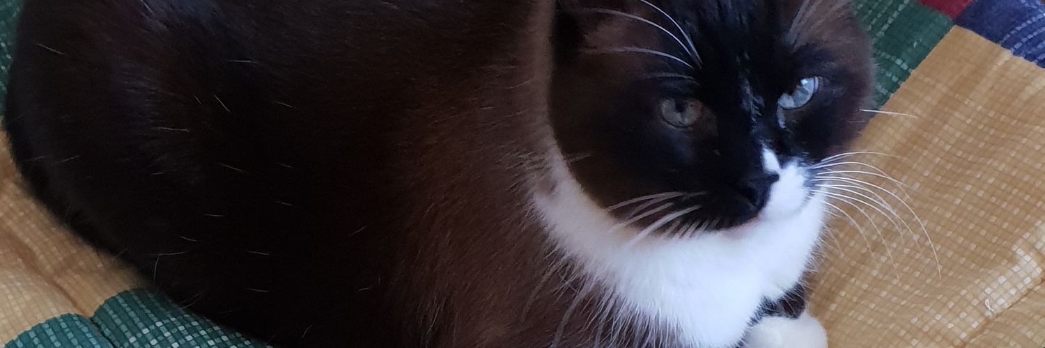 SirTisera's profile banner image