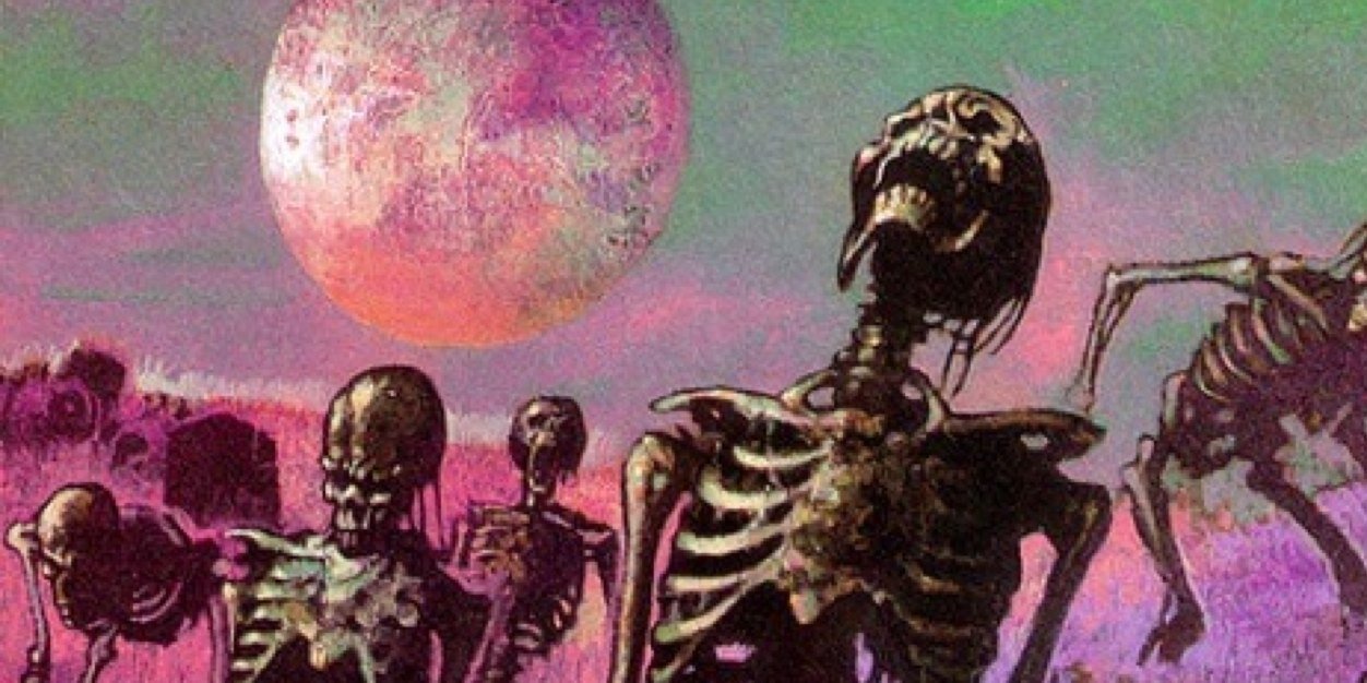 Stephanieebizz's profile banner image