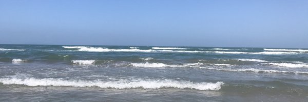 MsTrdla Profile Banner