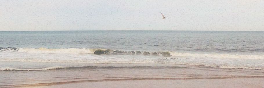 tamionthisone's profile banner image