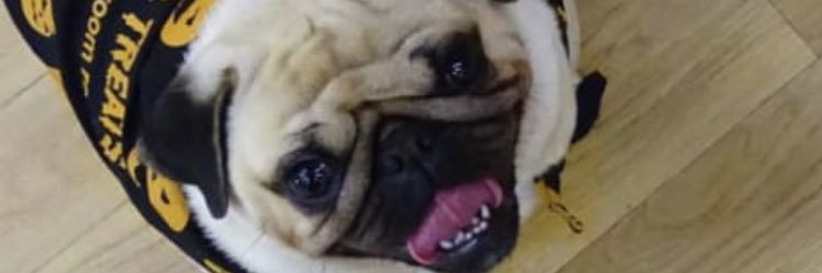 lewismitchell_1's profile banner image