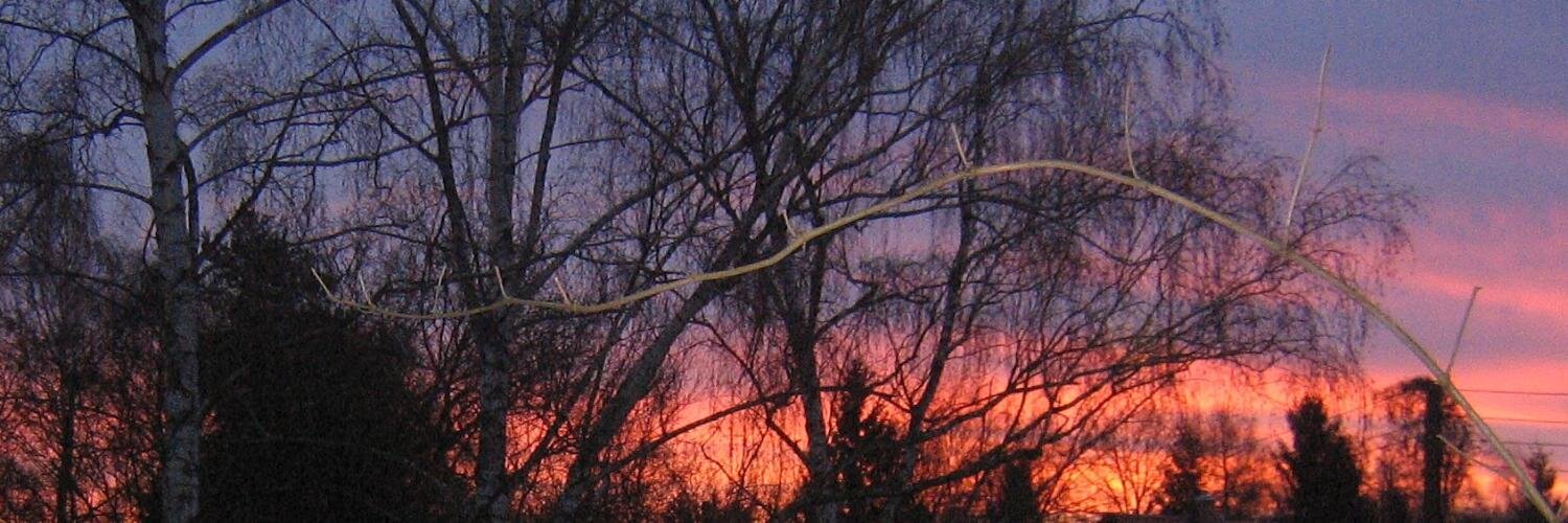 ferlebri's profile banner image