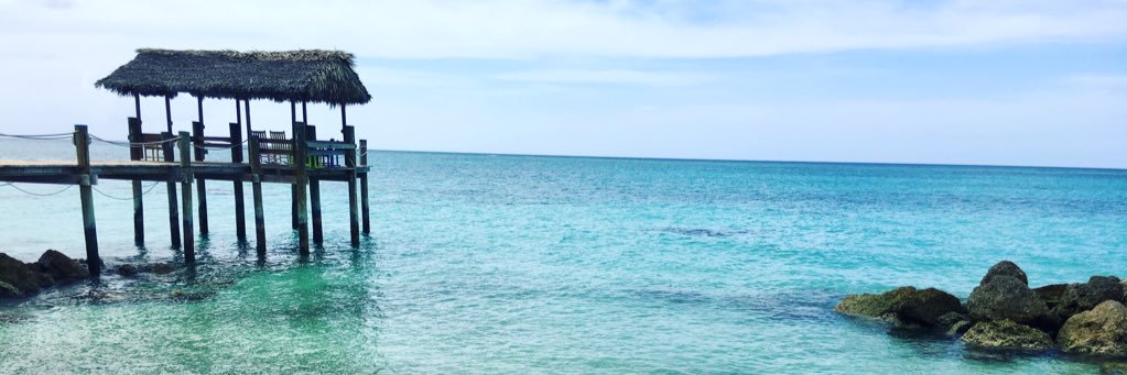 Chelsea Taylor banner