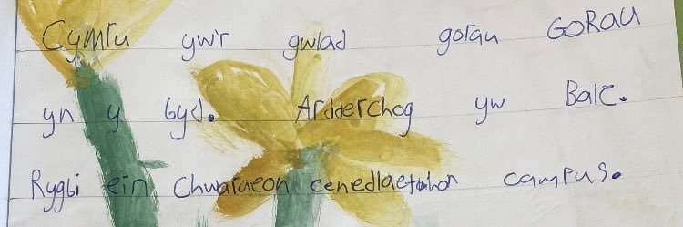 Meriel Oliver (Hi She/Her) banner