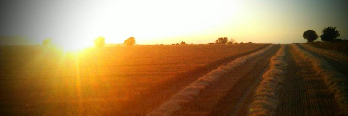 TipperaryBoutiqueDistillery banner