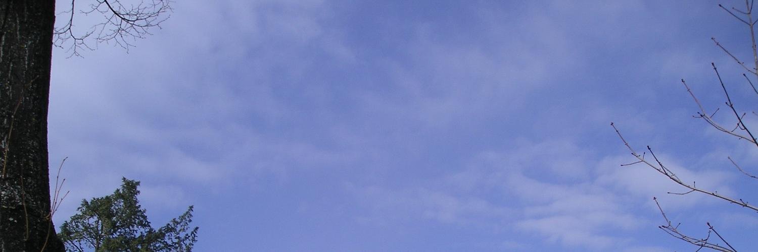 Lisa Alisa banner