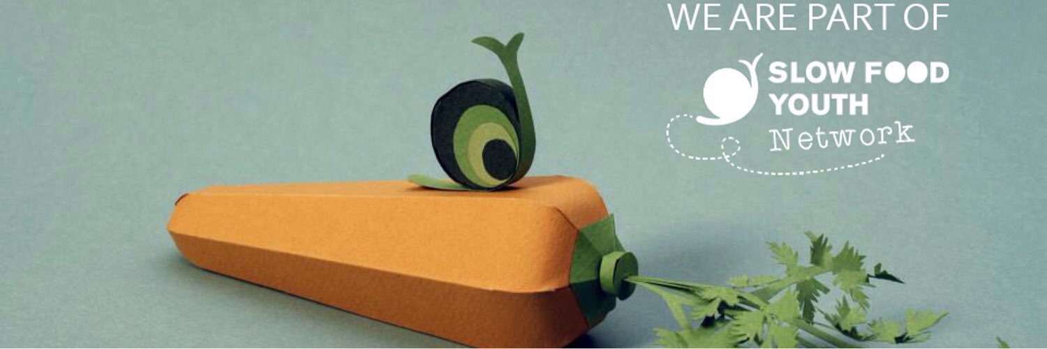 SFYN_Zw's profile banner image