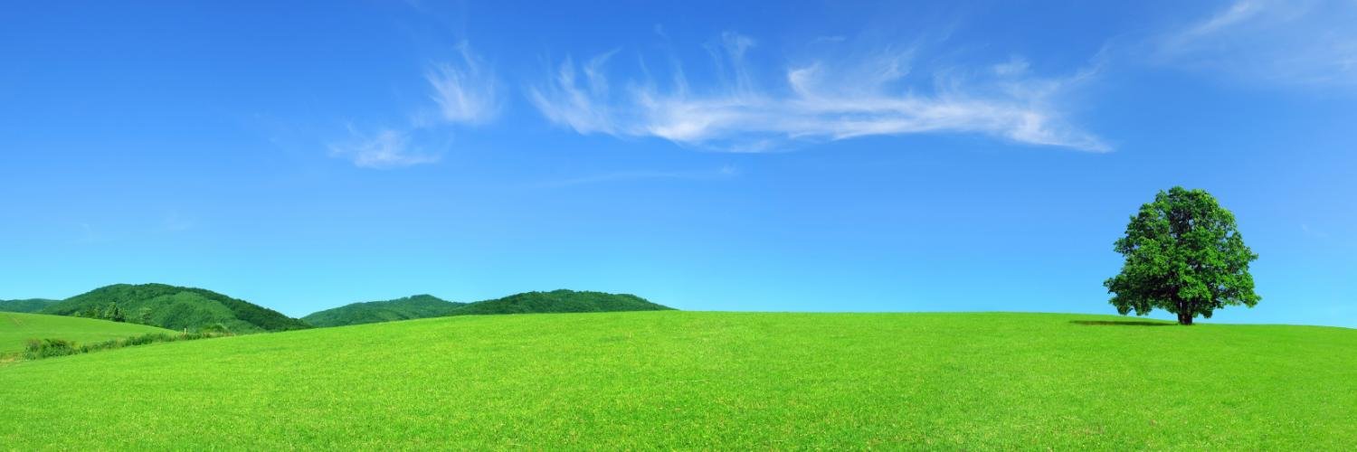 DawsonResearch's profile banner image