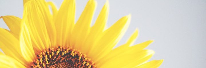 angelawrm's profile banner image