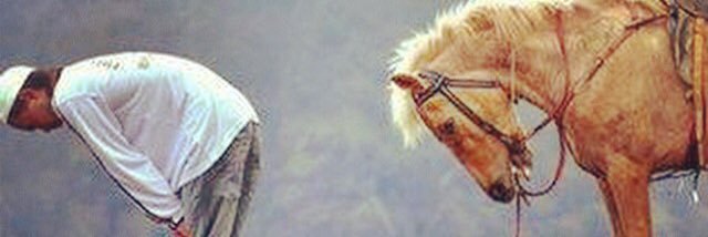 sdkbsr's profile banner image