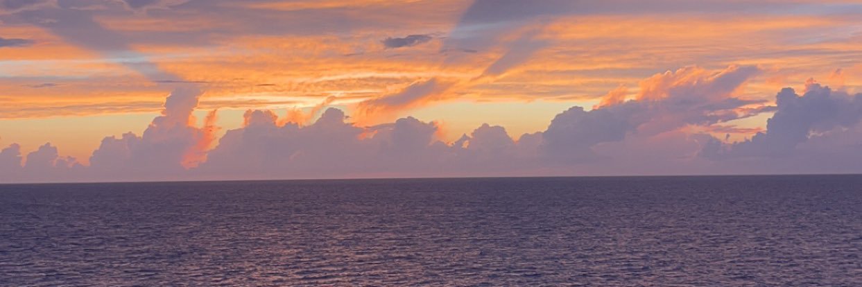 janarehal's profile banner image