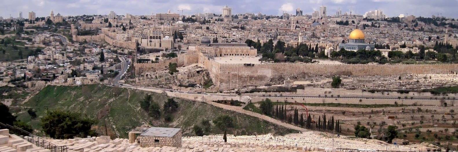 stopthebds's profile banner image