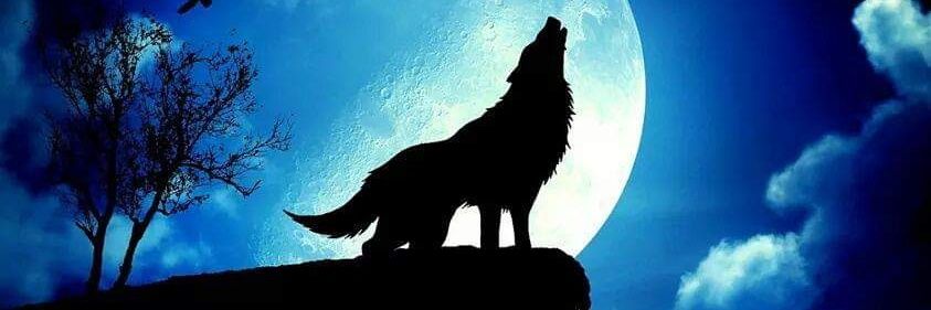 JaishemaB's profile banner image
