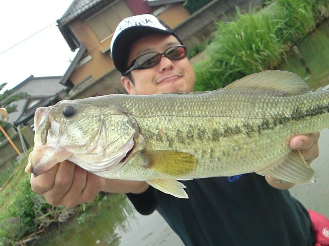 まこなみ丸 banner