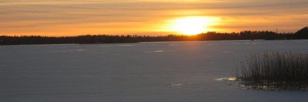 Lea_Renoux's profile banner image