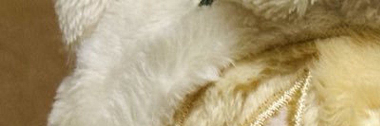 TGPremier's profile banner image
