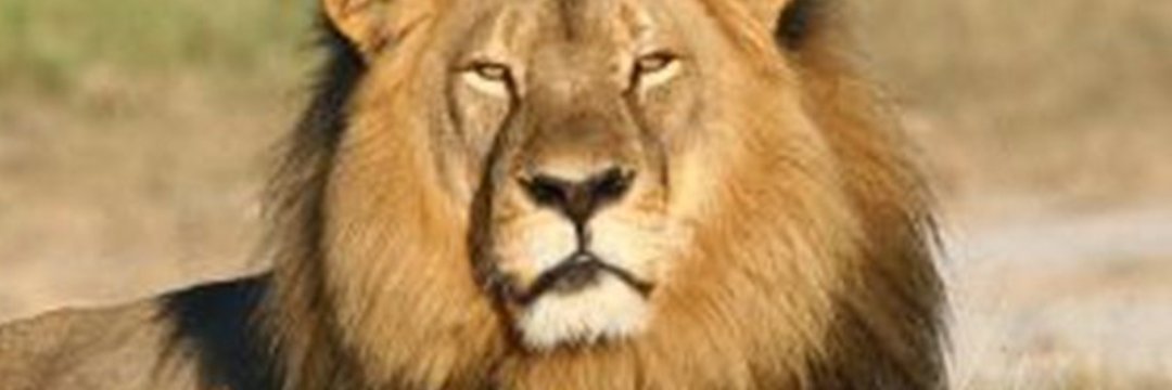 GCJLL's profile banner image