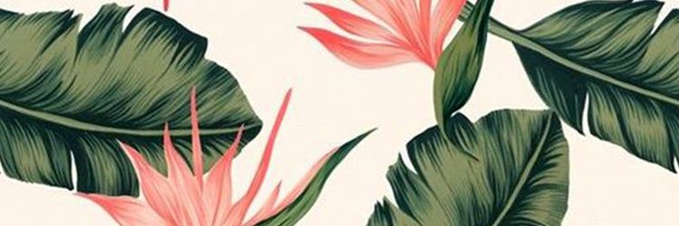 claireberon's profile banner image