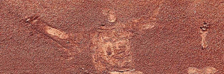 Alex from Earth 616 🤼‍♀️ 🤼‍♀️ 🤼‍♀️ banner