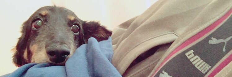 murai_crp's profile banner image