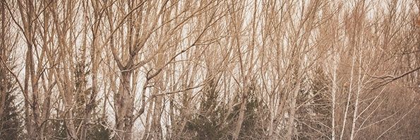 Ruben Aguilar banner