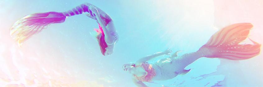 PerthMermaids's profile banner image