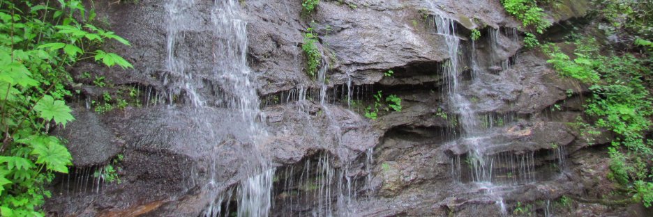 Friends of GA Parks banner