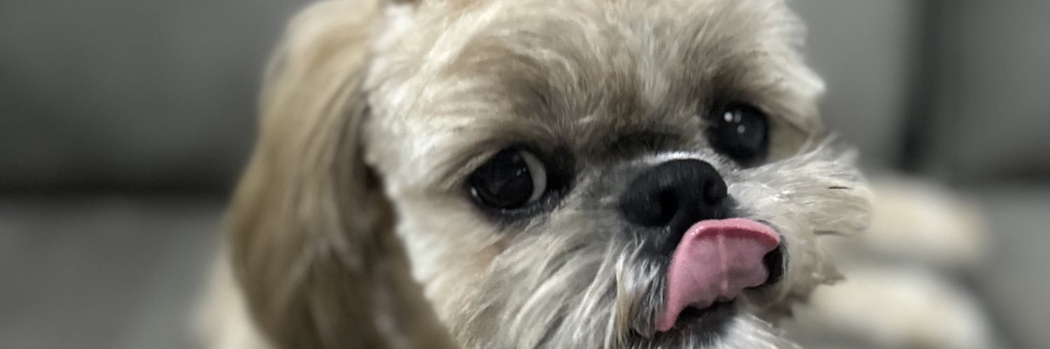 Cc__franz's profile banner image